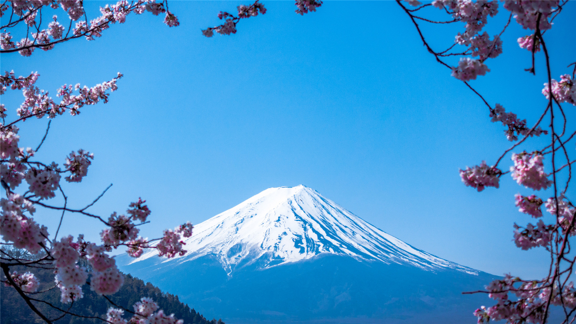 唯美富士山高清桌面壁纸 Tt98图片网