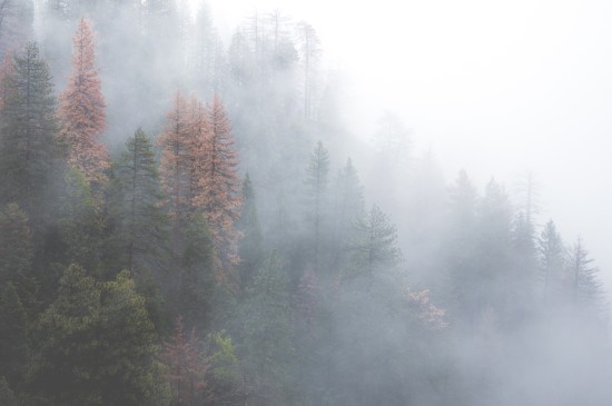云雾缭绕自然景观iPad平板壁纸