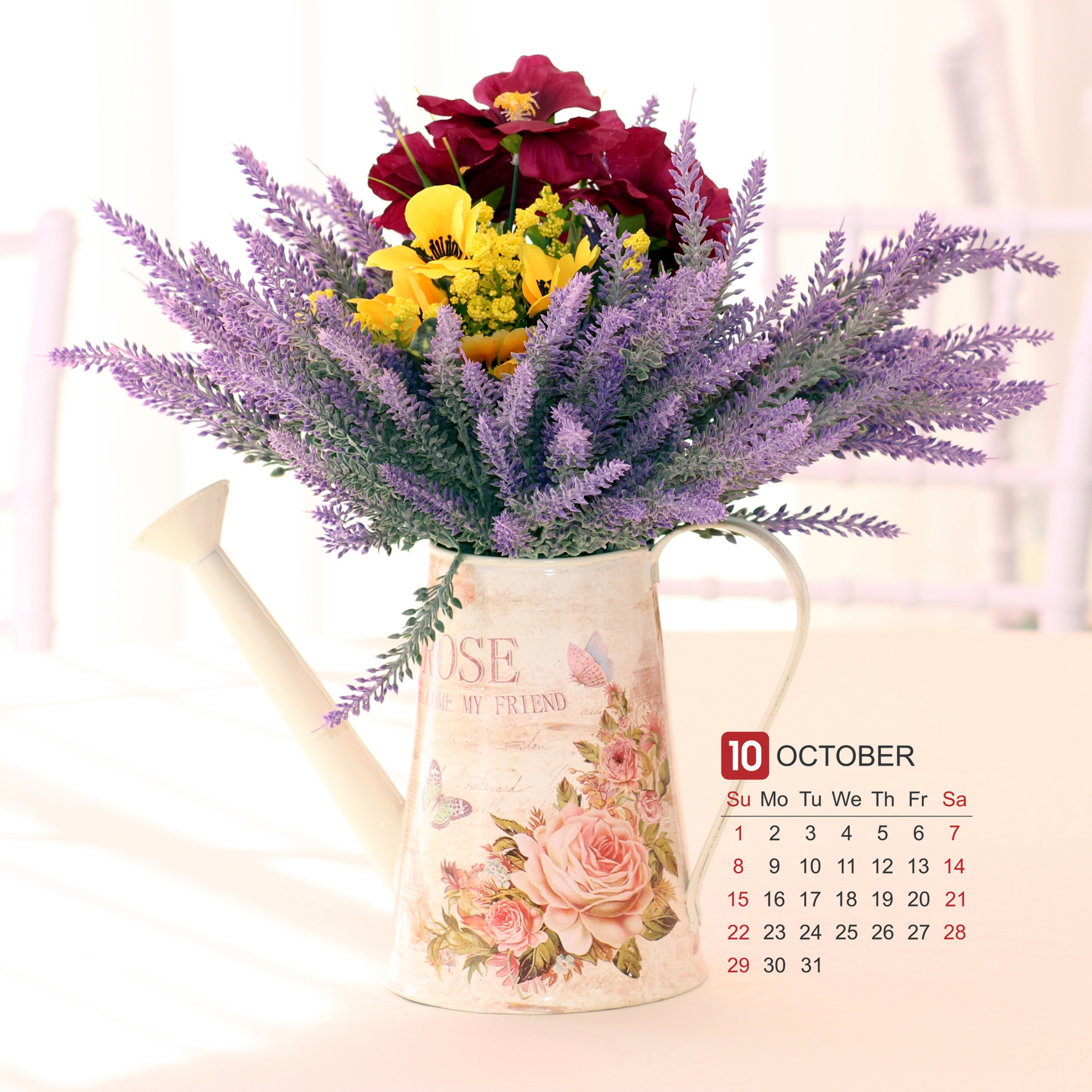 2017年十月花卉日历ipad壁纸下载