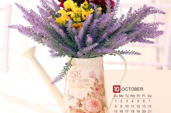 2017年十月花卉日历ipad壁纸下载