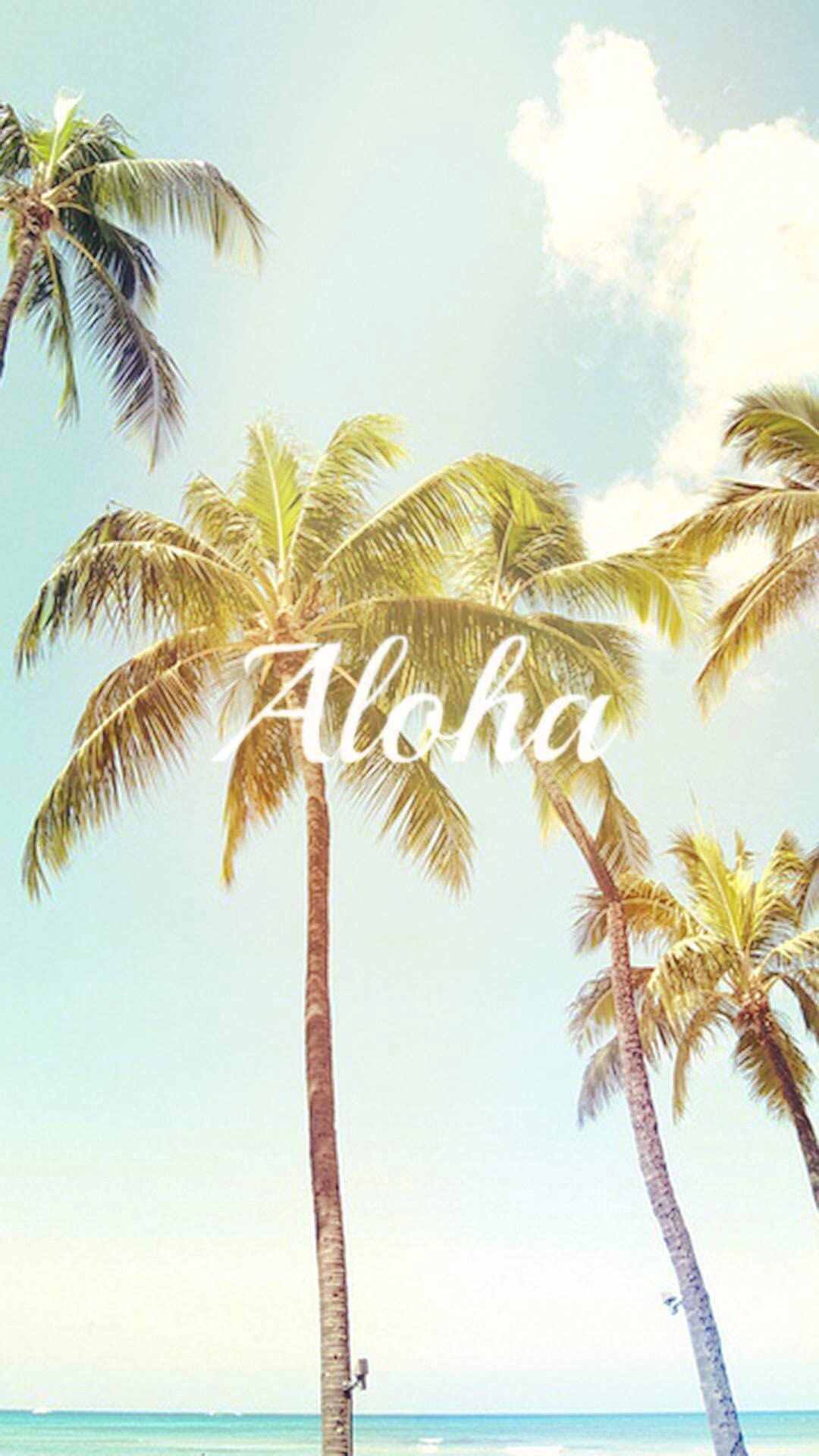 aloha夏日椰树高清手机壁纸大全