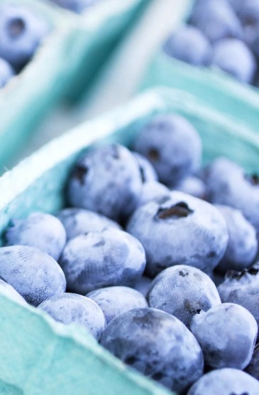 新鲜水果蓝莓摄影iPhone7壁纸