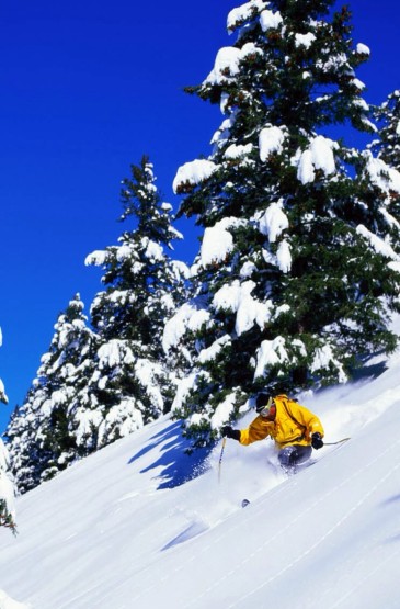 花式滑雪运动手机壁纸