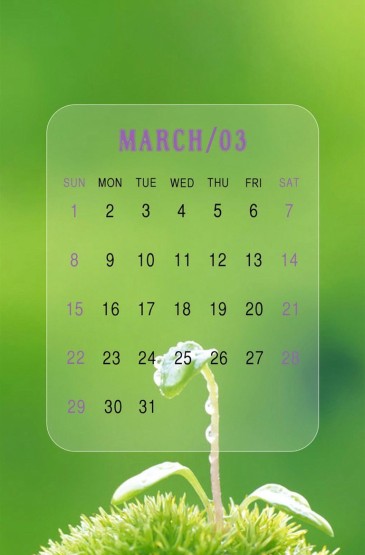 2015年3月护眼日历手机壁纸