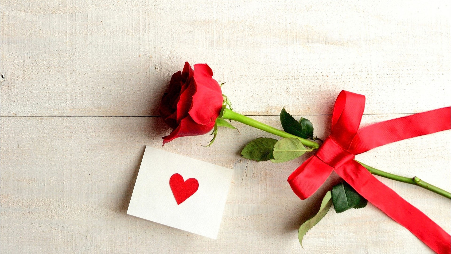 唯美红色玫瑰爱情图片