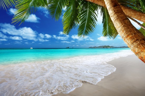 椰树沙滩海岛风光图片