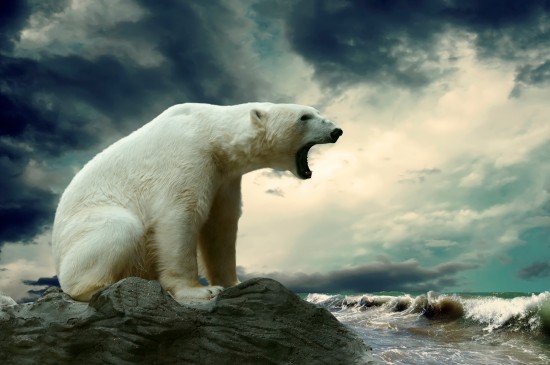 怒吼的北极熊图片