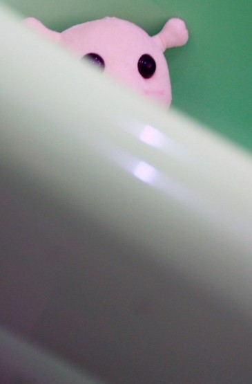 超萌的可爱毛绒玩具图片iPhone5s手机壁纸