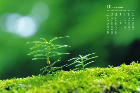 2018年10月绿色植物图片日历壁纸