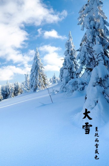 二十四节气大雪唯美景色图片手机壁纸