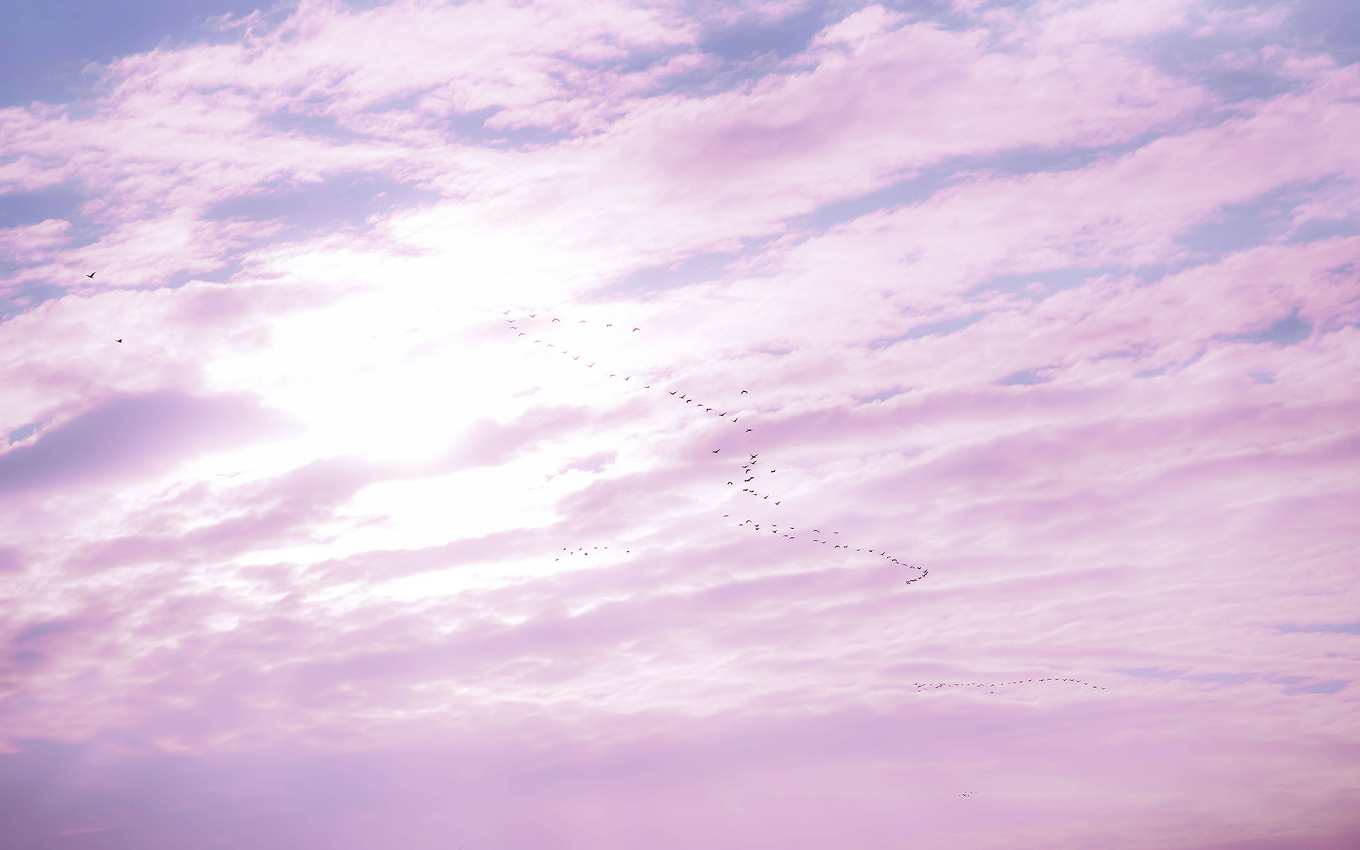 精选少女心粉紫色天空自然风景意境桌面壁纸