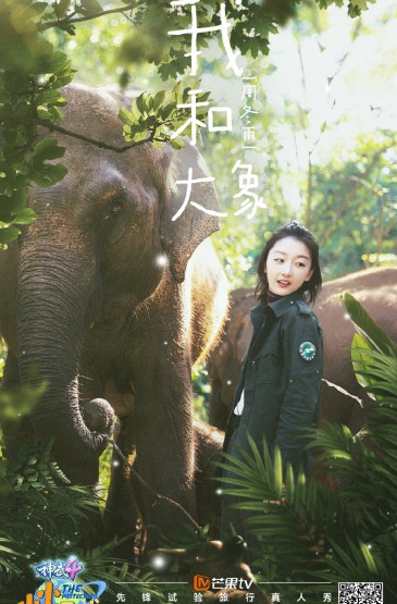 《小小的追球》12期“我们和大象”海报图片