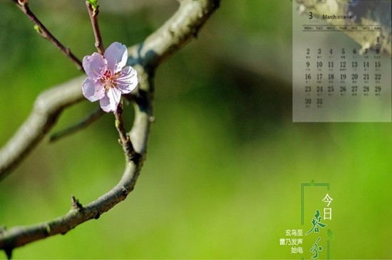 2020年3月二十四节气之春分高清日历壁纸
